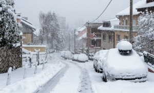 Snow covering cars parked on a street